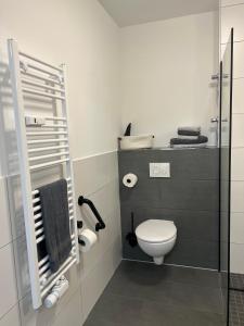 a bathroom with a toilet and a glass shower at Charming Homes - Studio 11 in Wolfsburg