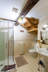 uma casa de banho com um chuveiro, um WC e um lavatório. em Casa Ruperto em Doade