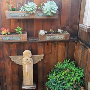 a wooden fence with some potted plants on it at Rubyred Cottage in Bloemfontein