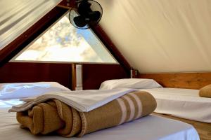 a bedroom with two beds and a window at Hostel & Glamping Santa Fortunata in Sorrento