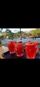 a group of four glasses of red liquid on a tray at Ecohotel Akuaipa in San Juan del Cesar