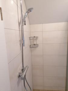 レンゲリッヒにあるGemütliche Wohnung auf 2 Etagenのバスルーム(シャワー、シャワーヘッド付)が備わります。
