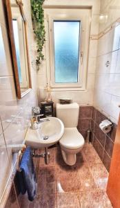 La salle de bains est pourvue de toilettes, d'un lavabo et d'une fenêtre. dans l'établissement Maison du Jonc, Genève-Aéroport, à Genève