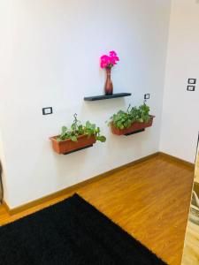 two potted plants on a wall in a room at شقه فندقيه ف ارقي مواقع بالزمالك in Cairo