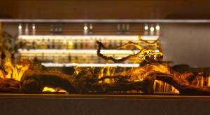 a fire in a fireplace with a log in it at Alambique - Hotel Resort & Spa in Fundão +56 photos