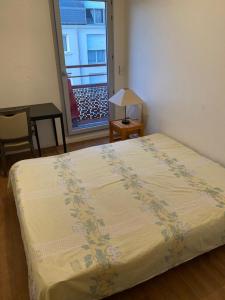 a bedroom with a large bed with a window at Appartement 3 pièces AlfortVille Centre in Alfortville