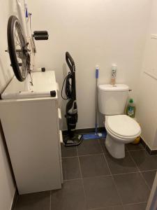 a bathroom with a white toilet and a fan at Appartement 3 pièces AlfortVille Centre in Alfortville