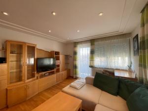 ein Wohnzimmer mit einem Sofa und einem TV in der Unterkunft Moderne Wohnung in LKH Nähe in Graz