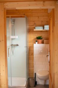 a bathroom with a shower and a toilet at Logeren in Veere in Veere