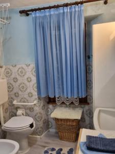 a bathroom with a toilet and a blue shower curtain at LA CORTE DELLA CARLA - cozy home in the old court in Lierna