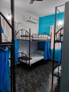 a room with two bunk beds and a blue wall at The goanvibes hostel and cafe in Anjuna