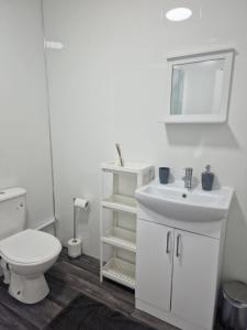 a white bathroom with a toilet and a sink at Pad in Cardiff