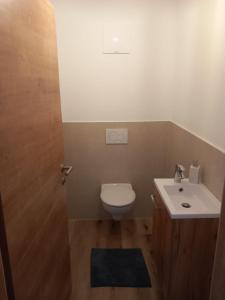 a small bathroom with a toilet and a sink at Feriennest Ossiachersee in Bodensdorf +20 photos