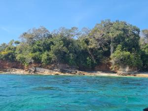 un'isola con alberi sulla riva di un corpo idrico di Villa Rehobot a Contadora