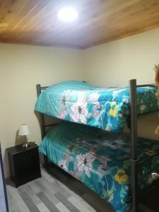 Foto sihtkohas Villarrica asuva majutusasutuse Cabaña Dos Ríos galeriist