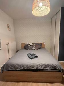 ein Schlafzimmer mit einem großen Bett mit einer Lampe in der Unterkunft Joli T2 - 4P Bien équipé - Palaiseau Massy Orly in Palaiseau