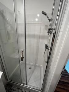 a shower with a glass door in a bathroom at Lodging Młyńska Parking free in Bielsko-Biała