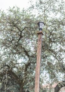 a street light on a pole with trees in the background at La Umbría de la Ribera in El Pedroso