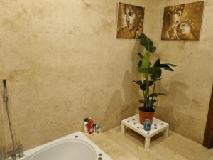 een badkamer met een toilet en een potplant bij Rossmore House in Monaghan