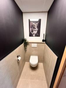 a bathroom with a toilet and a picture of a cat at Le gîte du Mawet in Léglise
