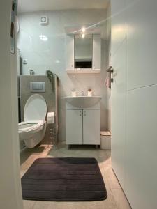 y baño con aseo, lavabo y espejo. en Apartman Marsalforn, en Veternik