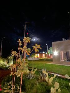 a garden at night with a building in the background at Golden Sands Resort in Qibāʼ