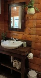 a bathroom with a sink and a mirror and a toilet at 299 Willow Lodge in Trawsfynydd