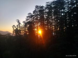 a sun setting behind a group of trees at TiNY HOMESTAY for International Guest only in Shimla