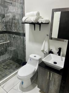 a bathroom with a toilet and a sink and a shower at DEPARTAMENTOS ARTICULO 123 - departamento #2 in Tijuana