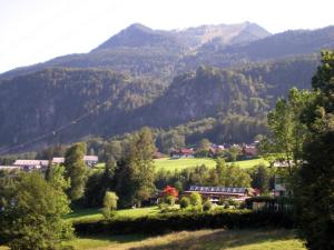 Príroda v okolí apartmánu
