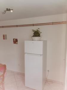 Cette chambre blanche dispose d'un réfrigérateur et d'une plante en pot. dans l'établissement Chez Raphaël, à Marckolsheim