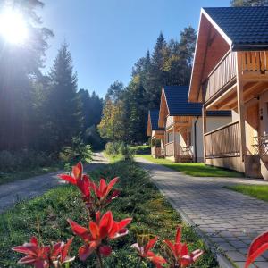 un sentiero accanto a una casa con fiori rossi di Domki Zew Natury a Lesko