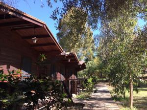 Zahrada ubytování Camping Valle dei Templi