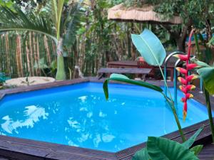 a pool in a garden with a plant next to it at LESSENCIEL Villa in Sada