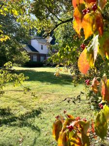 a view of a yard with a house in the background at Charred Oaks Inn in Versailles