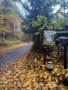 Fotografie z fotogalerie ubytování Leśniczówka Świt Gabriela Pieczka v destinaci Tuchola