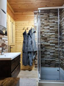 bagno con doccia e lavandino di Cabana Lupul din Apuseni a Mătişeşti