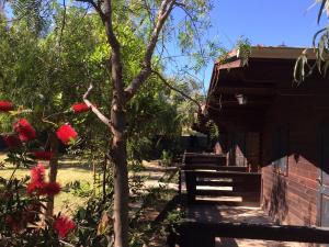 Zahrada ubytování Camping Valle dei Templi + 25 fotografií