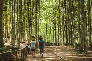 Hosté ubytování 42 Vacanza di relax in Maremma - wifi - free parking