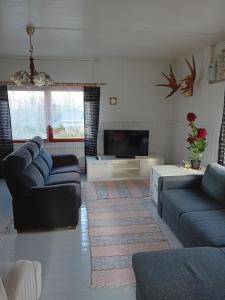 sala de estar con 2 sofás azules y TV en Talo rantasaunalla en Vaala