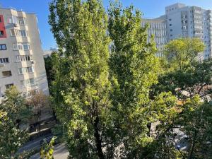a large tree in front of some tall buildings at Apartament Bucuresti Bucharest in Bucharest