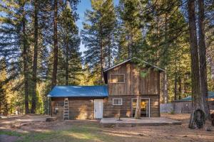 a log cabin in the woods with trees at Escape to the Cabin, in Plumas National Forest 