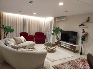 a living room with a couch and a television at شقة مفروشة مدينة نصر in Cairo