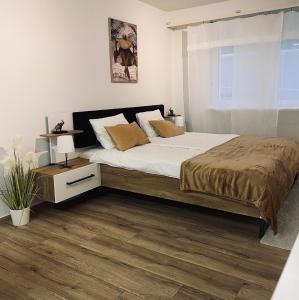 a bedroom with a large bed and a window at Eine schöne Wohnung am Messeplatz in Basel