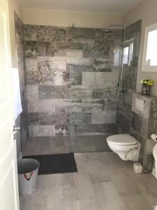 a bathroom with a toilet and a glass shower at Mörk Superior Cottages in Hvammstangi