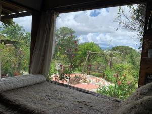 a window with a view of a garden outside at Romantic house on a pine hill Dalat in Xuan An