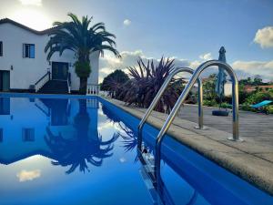 a swimming pool with blue water and palm trees at La Finca de Ananás - House in Ponta Delgada