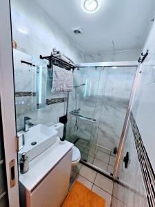 La salle de bains est pourvue d'une douche, d'un lavabo et de toilettes. dans l'établissement Perle Maritime Studio 3 à deux pas de la mer, à Cagnes-sur-Mer