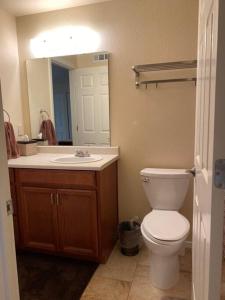 a bathroom with a toilet and a sink and a mirror at Hidden Gem in SE Boise with hot tub and wood burning fireplace in Boise