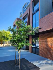 two trees in front of a brick building at Home@Braddon in Canberra